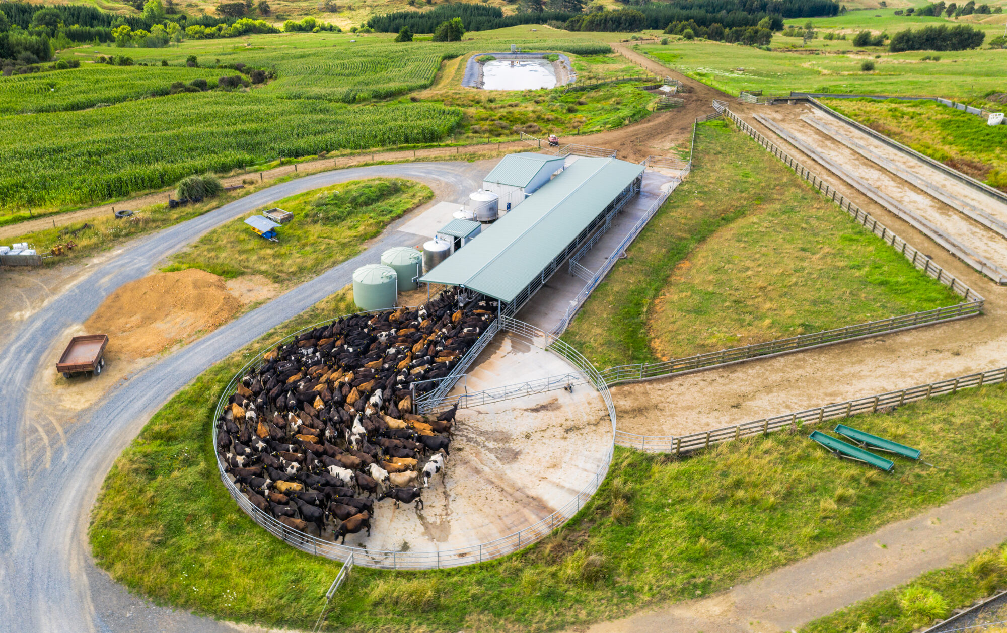 A rural dairy property from above